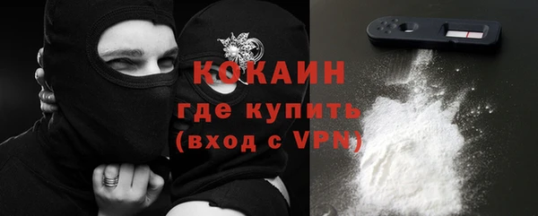дурь Бронницы