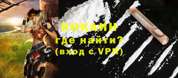 дурь Бронницы